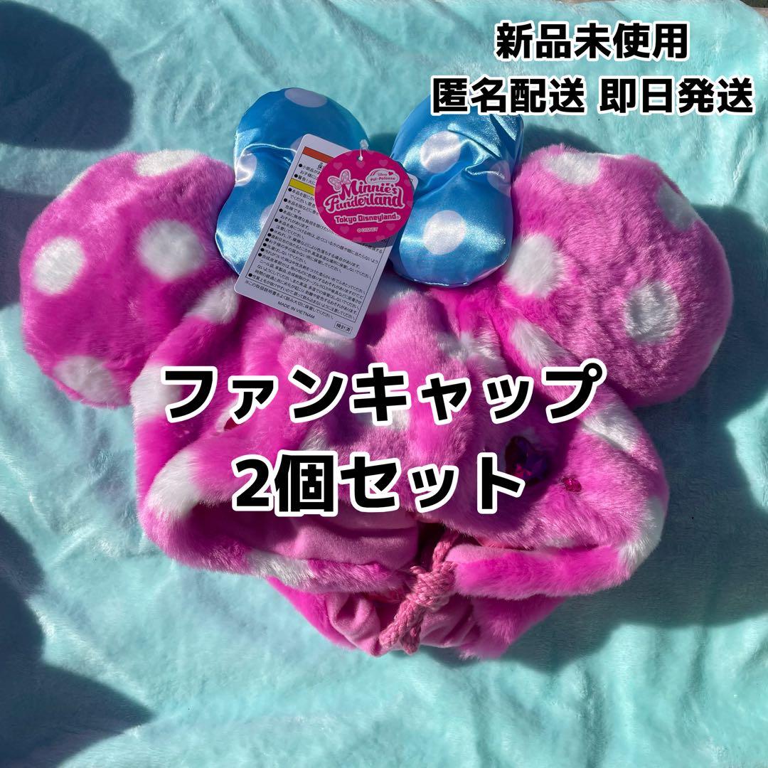 【即日発送】ディズニー パルパルーザ ミニーのファンダーランド ファンキャップ ミニー ファンキャップ パルパルーザ ファンダーランド本日発送可能