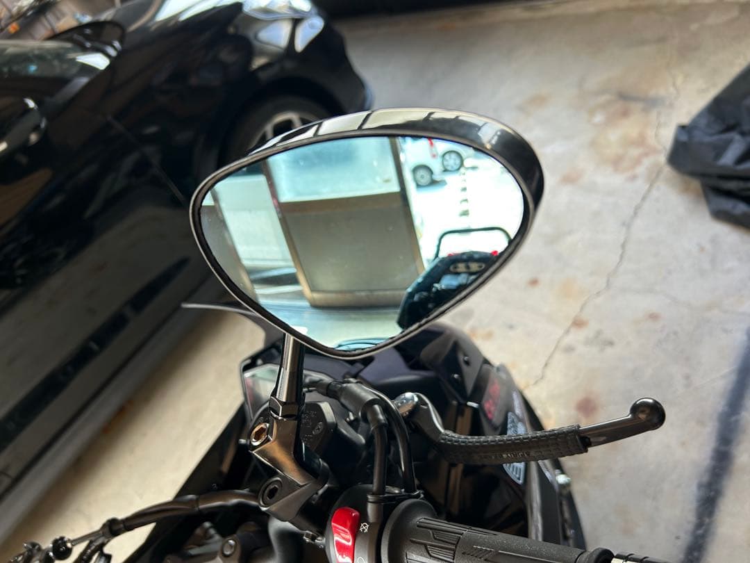 SIMOTA カーボンバックミラー