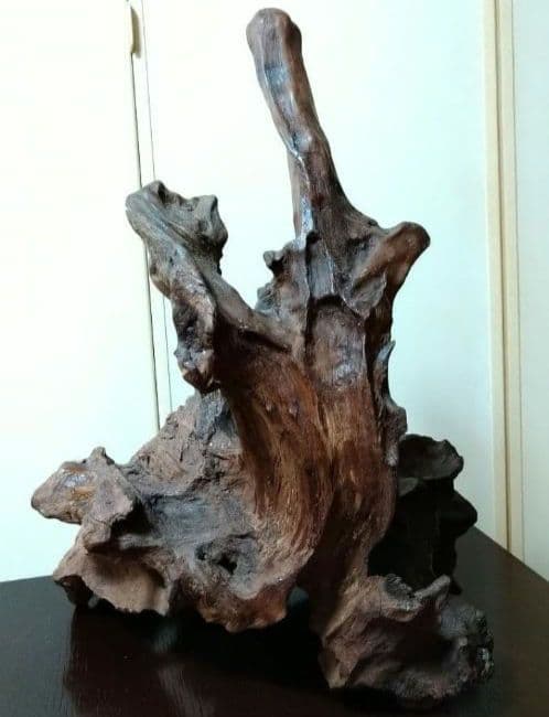 流木 天然木 枯れ木 切り株 オブジェ 床の間 飾り 希少 アート - メルカリ