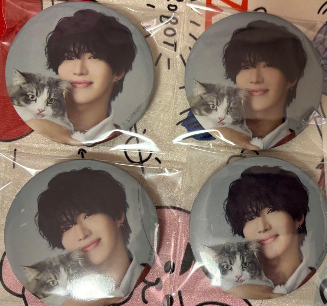 さとみくん ワンマン 缶バッジ 実写