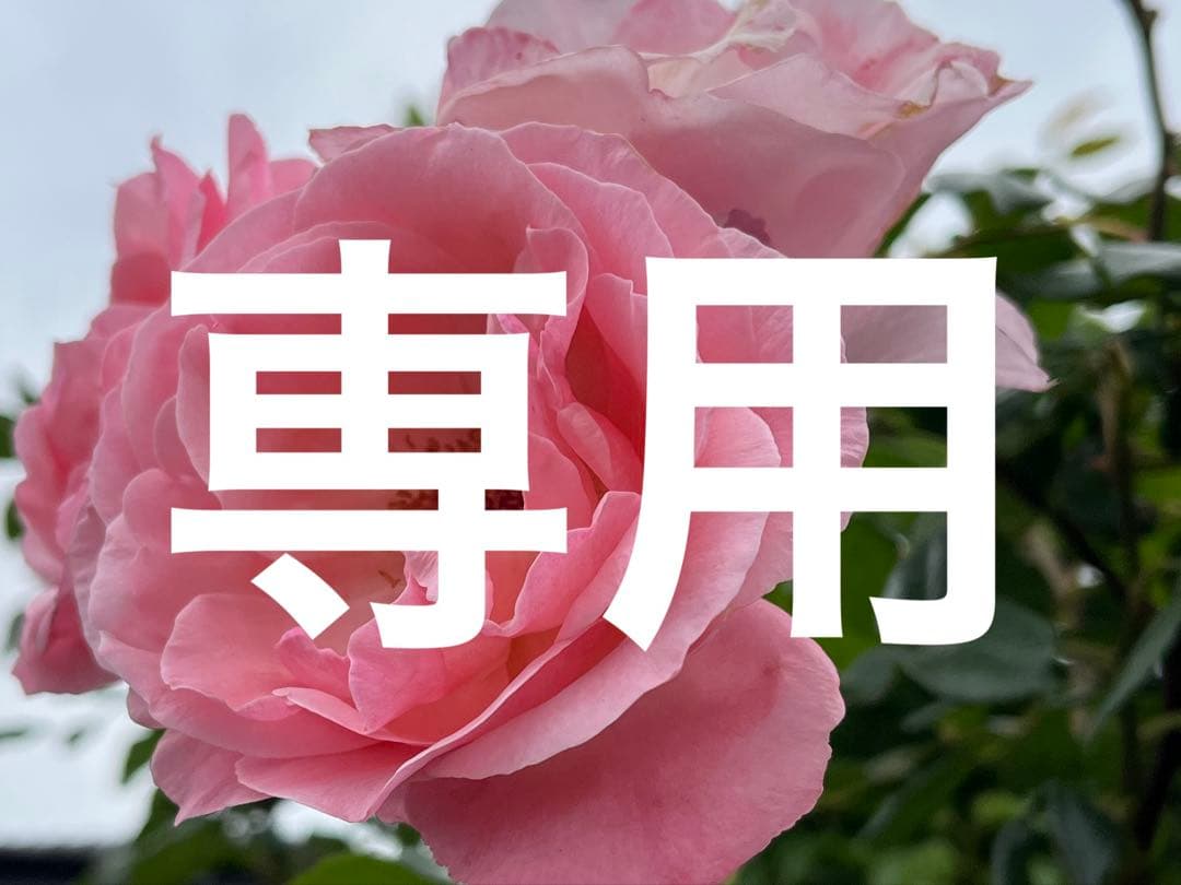 リアボーテ　グランスキンローション　クレア　洗顔セット