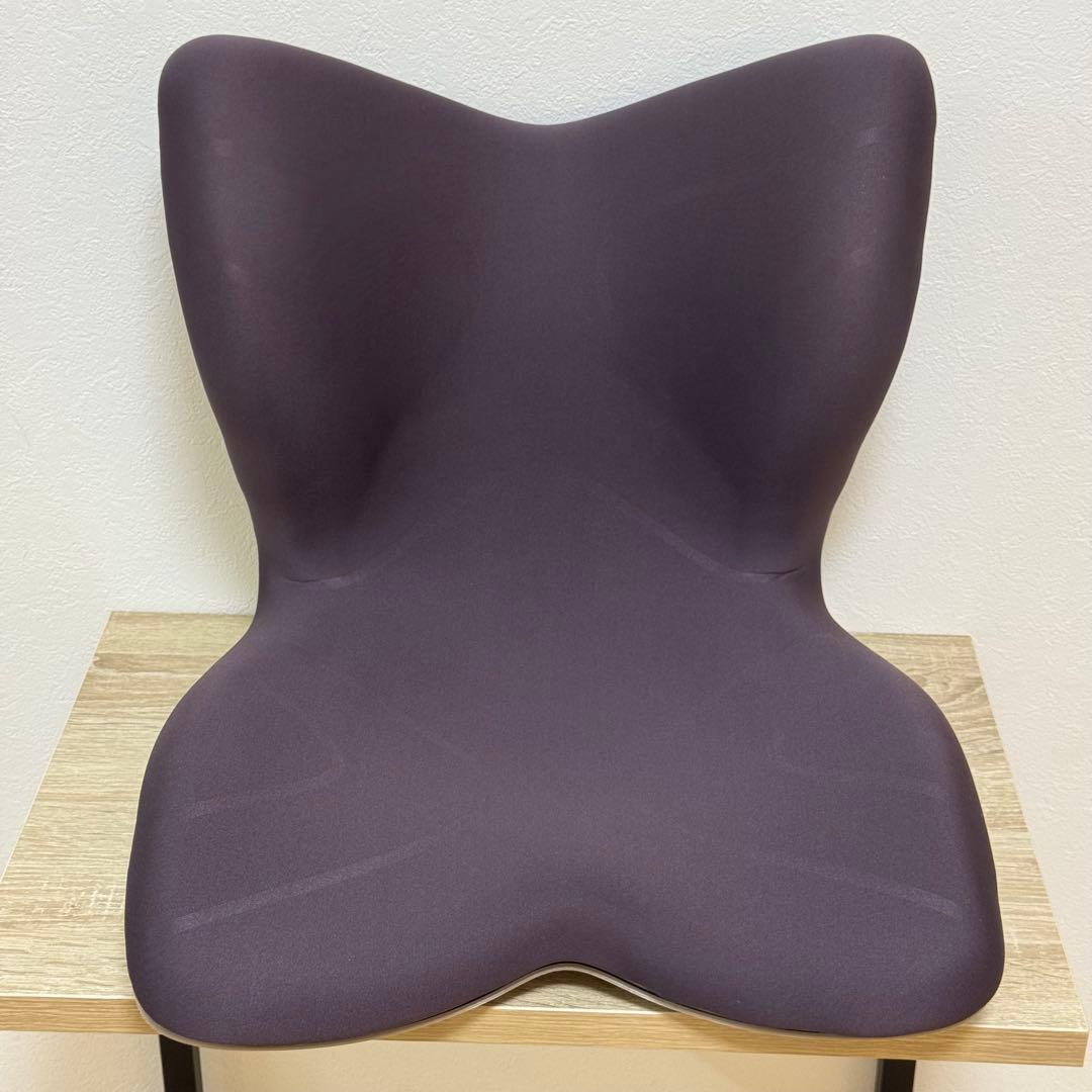 【美品✨】Style PREMIUM MTG 姿勢矯正 骨盤サポートチェア座椅子