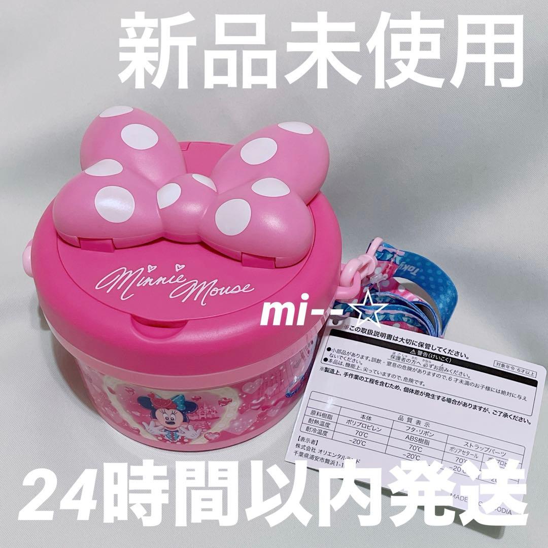 ディズニー パルパルーザ ミニー ファンダーランドポップコーンバケットスーベニア