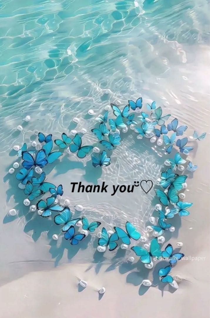 ❤️なつみん様❤️