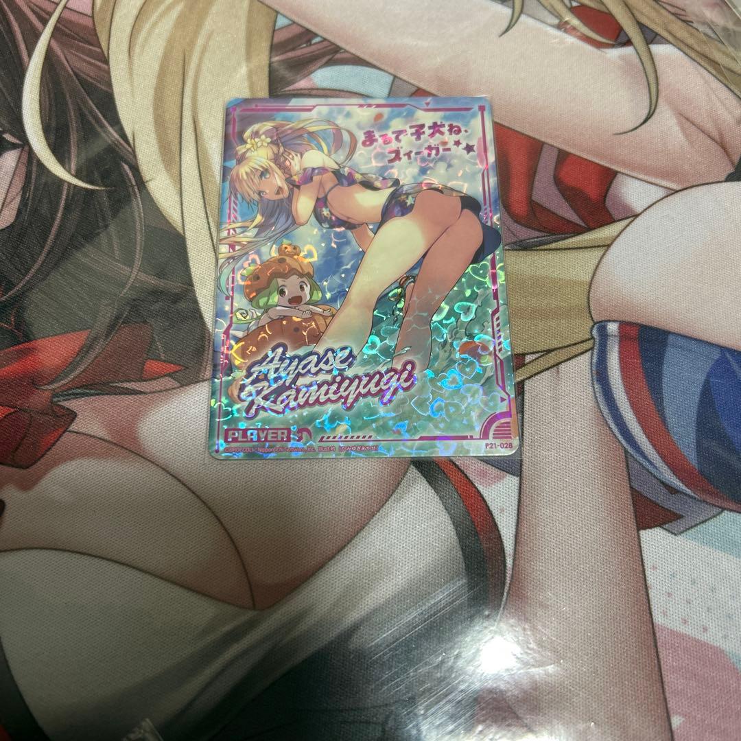 Z/X ゼクス 上柚木綾瀬　P21-028