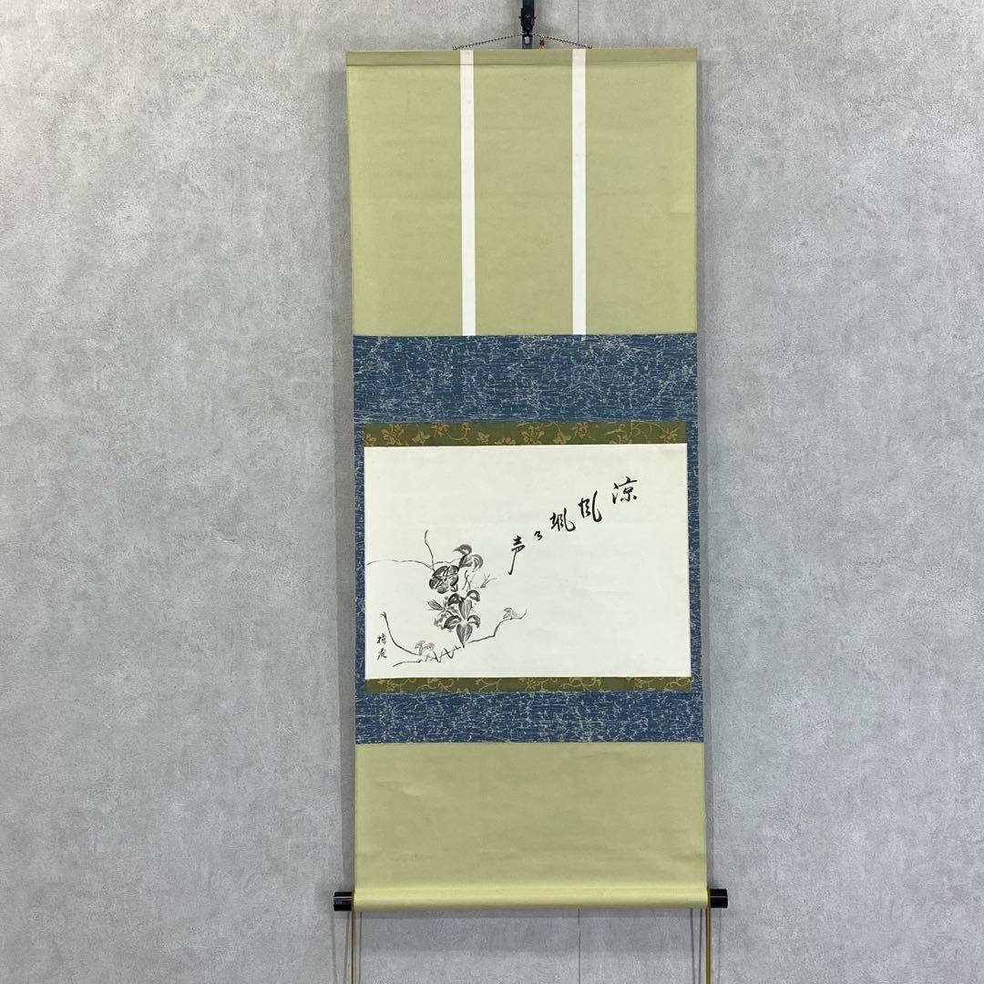 【bianchi】掛軸 木村樟庵 朝顔 涼風颯々声 紙箱 画賛 3-51