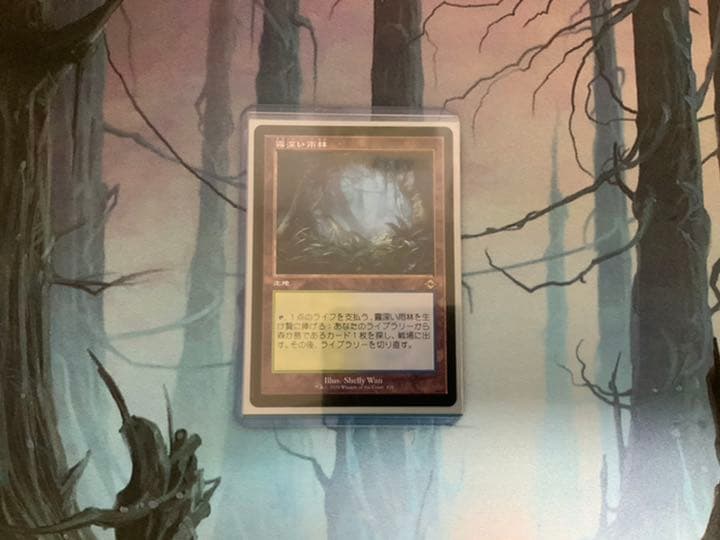 霧深い雨林　旧枠