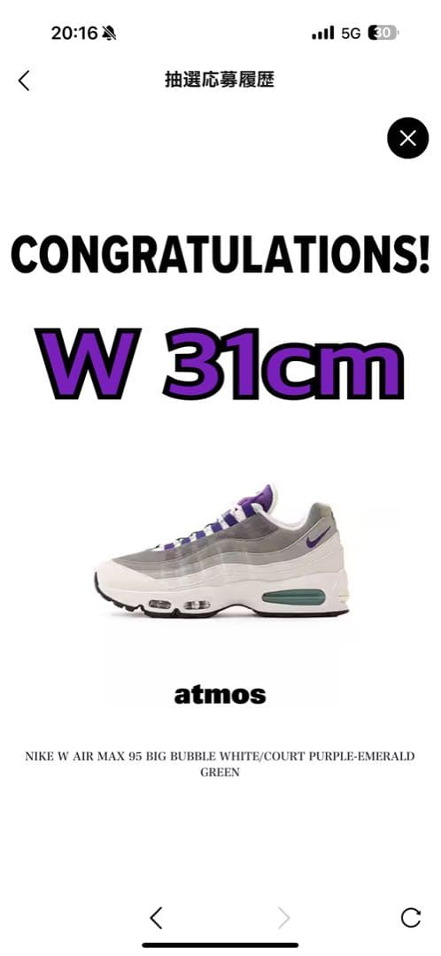 Nike Air Max 95 Grape 31cm ナイキ エアマックス NIKE W AIR MAX 95 BIG BUBBLE 