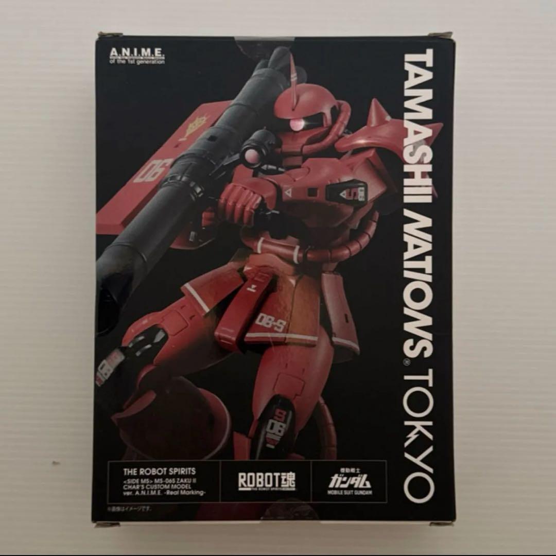 MS-06S シャア専用ザク ver. A.N.I.M.E. リアルマーキング