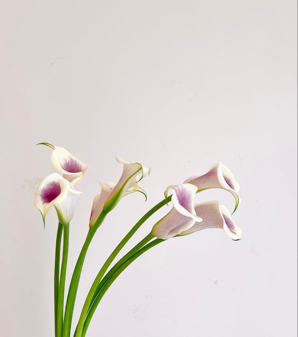 sorakumi プロフ必読❗️