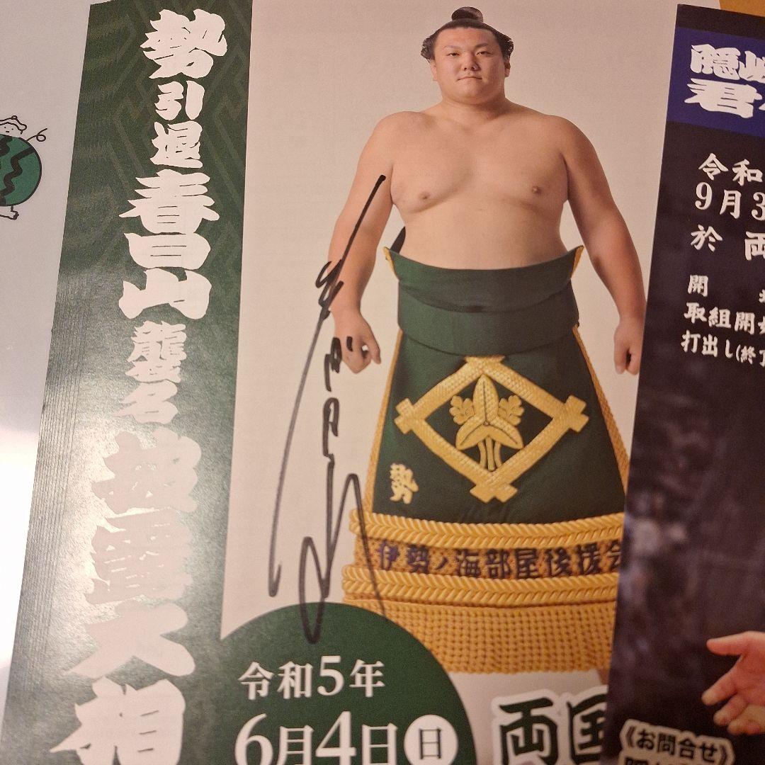 大相撲 力士 襲名 直筆サイン フライヤー 非売品 ファイル - メルカリ