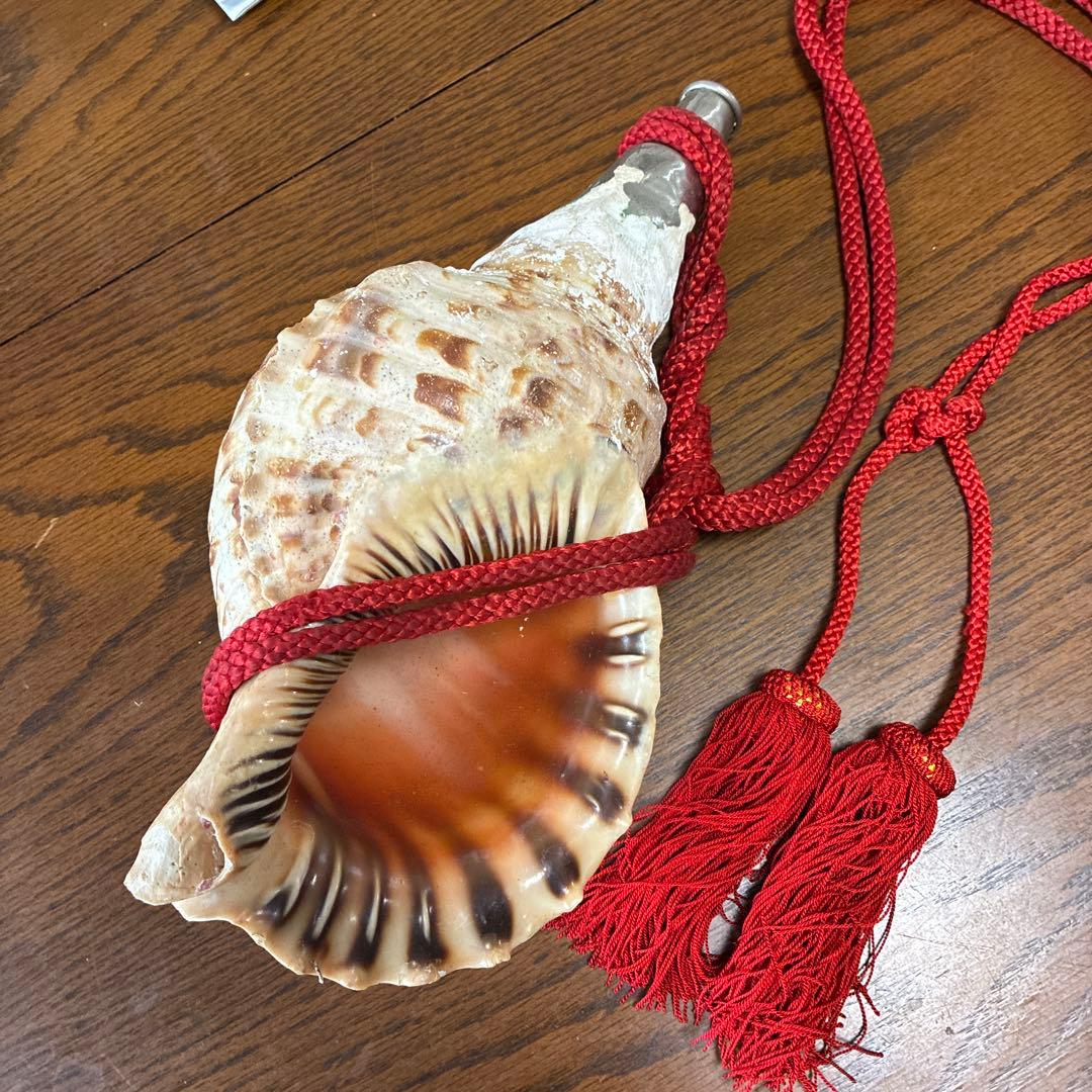 貝殻楽器 赤い紐付き 約20cm 貝殻の笛-イトマキボラ・テングニシ-【約10～12cm前後/1個】まとめ買い