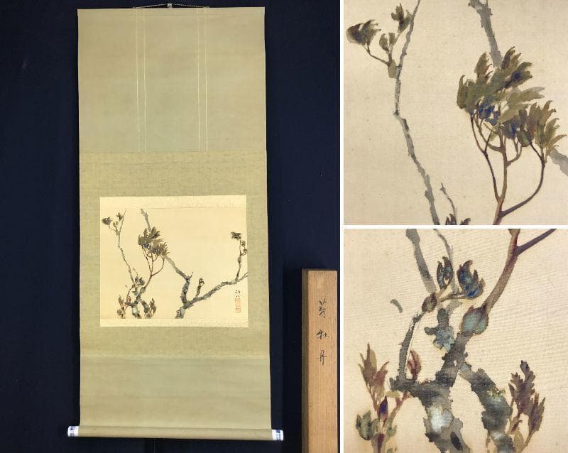 【真作】藤井松山/芽牡丹図/牡丹図/花図/横物/掛軸☆宝船☆AD-454 藤井松山 苞に秋花図 | 掛軸(掛け軸)販売／表装ご依頼は掛軸いっぷく