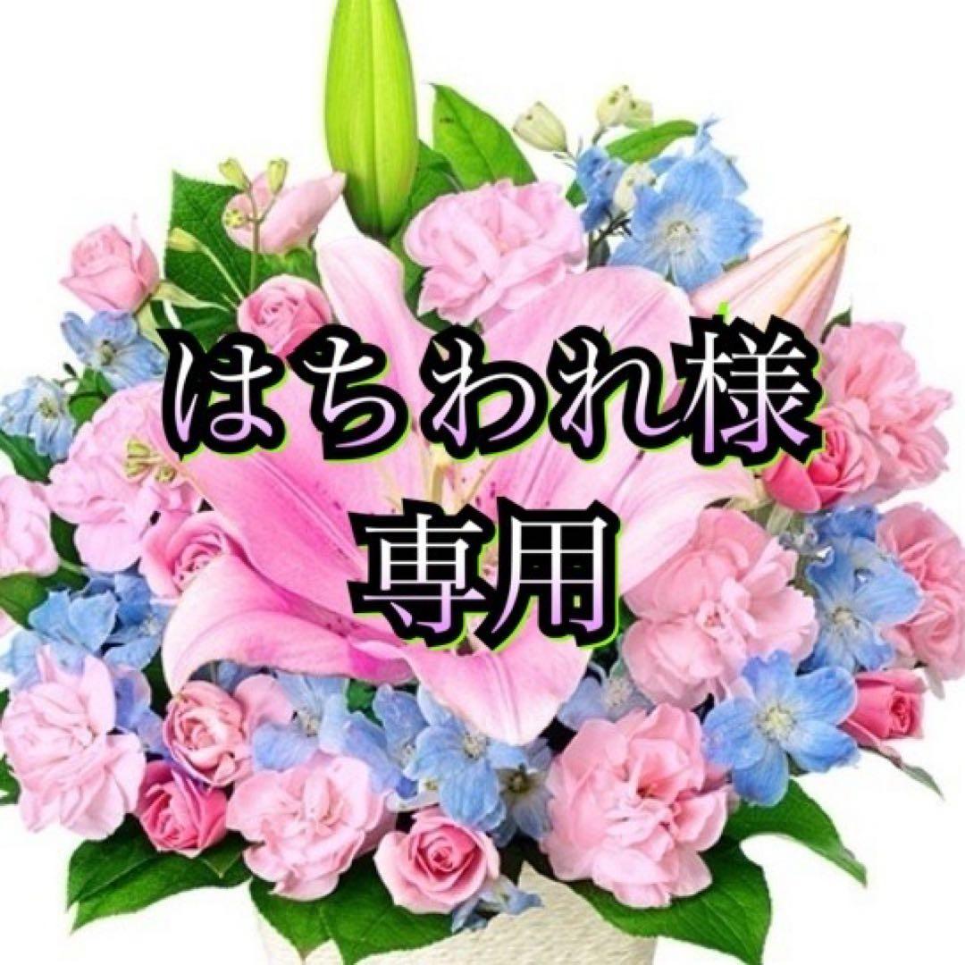 はちわれ Hisense 2024年製 135L 冷蔵庫 ブラック