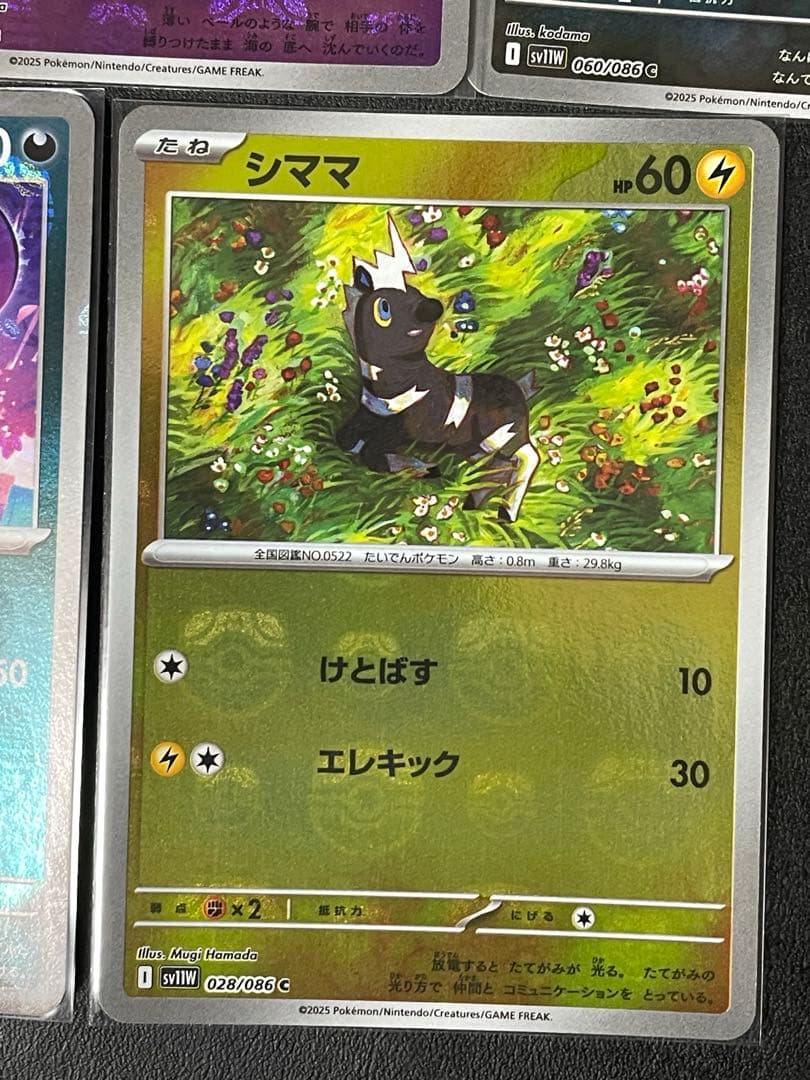 マスターボールレア ホワイトフレア&ブラックボルト 計9枚 - メルカリ