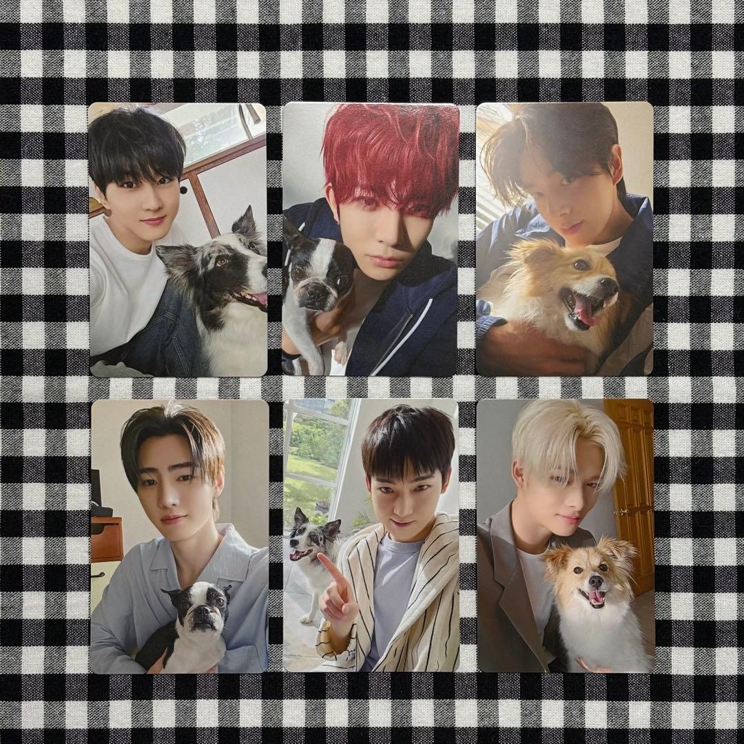 ENHYPEN FC 会報 2025 アンケート トレカ 6枚セット ENHYPEN FC限定 アンケートトレカ特典 エナプ コンプ 2025 - メルカリ