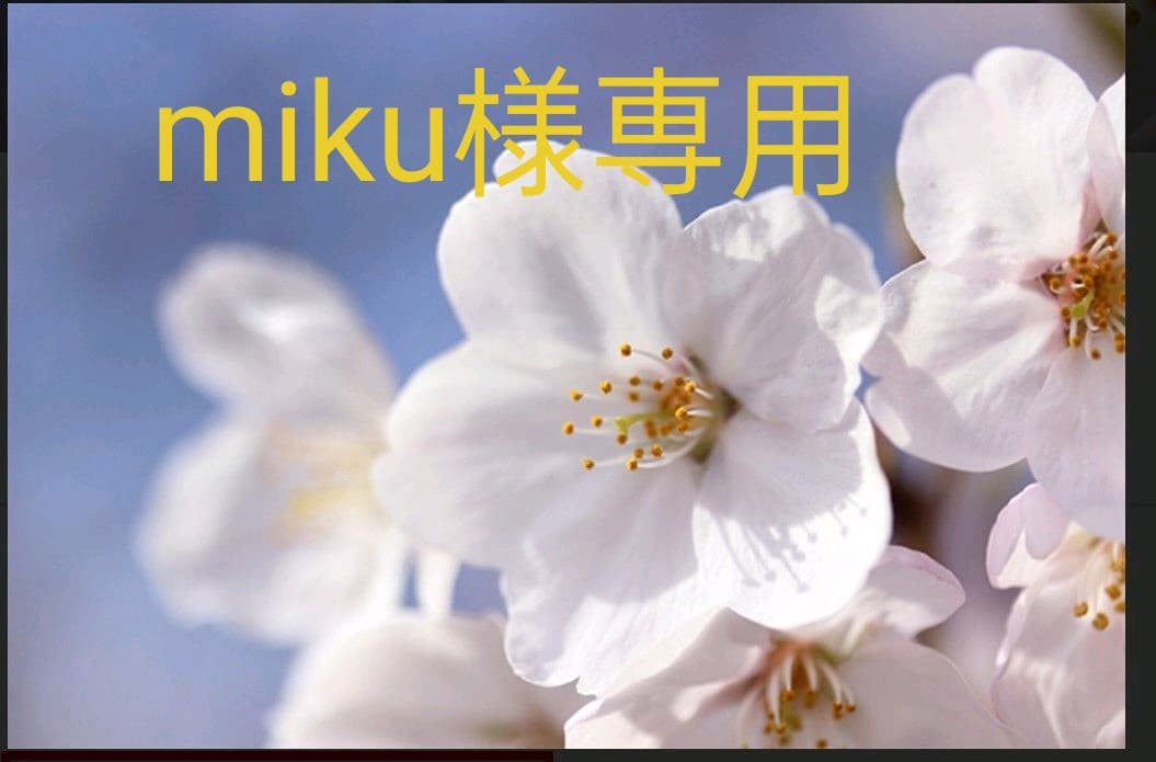 アクセサリー miku MHCYKJ Miku Figure Hatsune Miku Action Figure Model Anime Statues