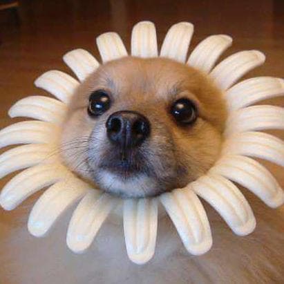 化粧水・ローション・トナー T.