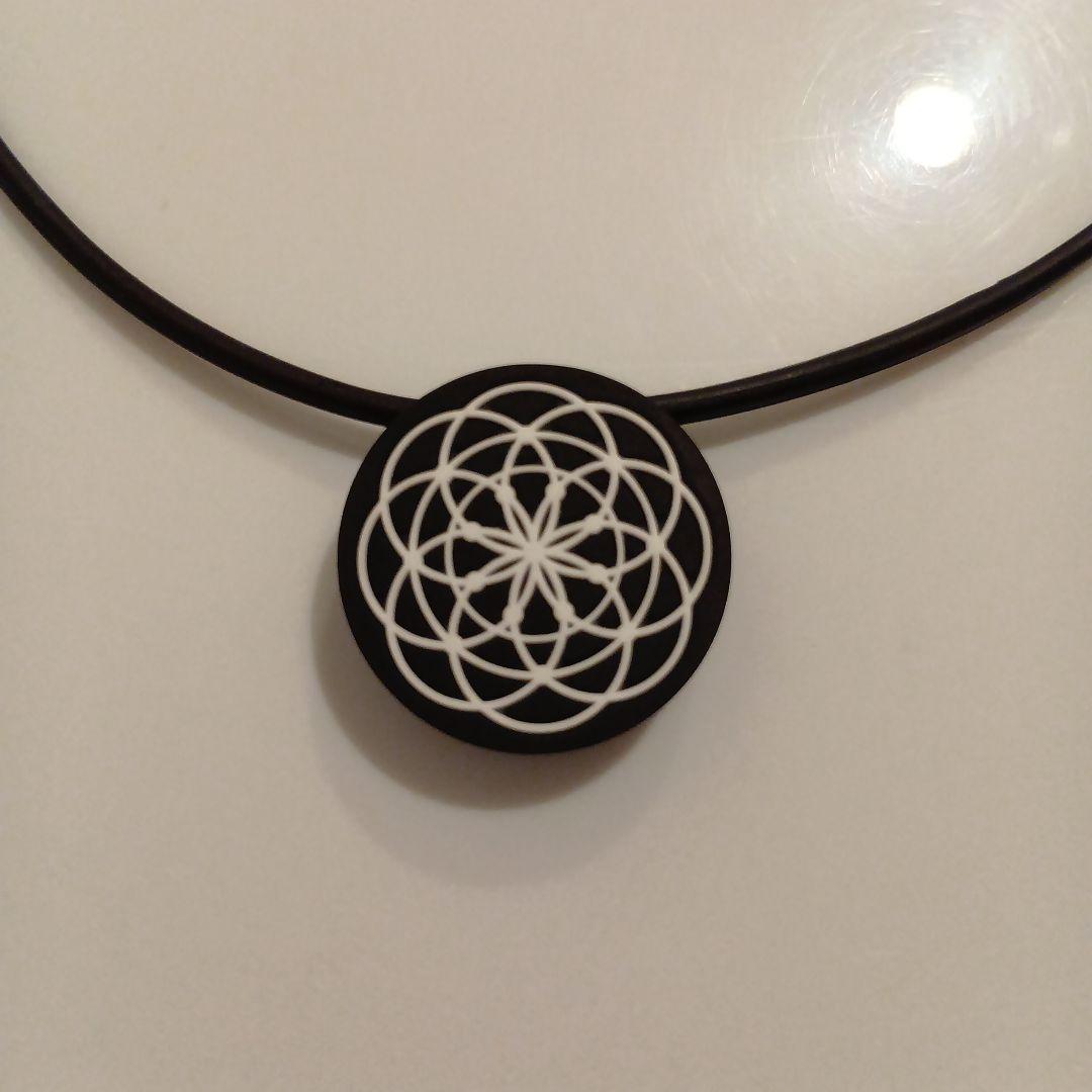 丸山式 BLACK EYE Gaius ネックレス 丸山修寛 - メルカリ