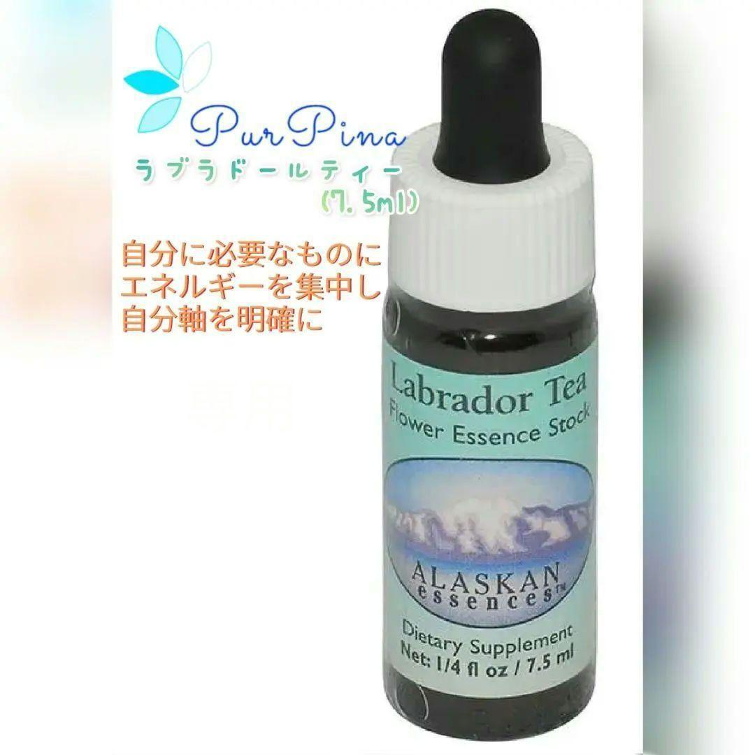 【予約品】ラブラドールティー 　アラスカンエッセンス　フラワーエッセンス