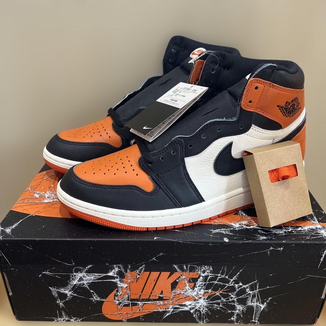Air Jordan 1 Shattered Backboard シャタバ　28