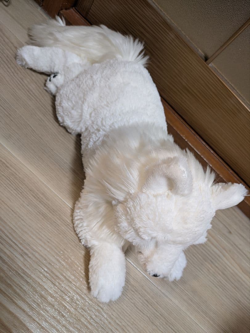 サンレモン ひざおおかみ ホッキョクオオカミ Sサイズ