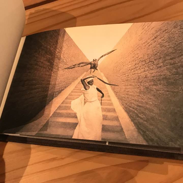 feather and 美術 写真集