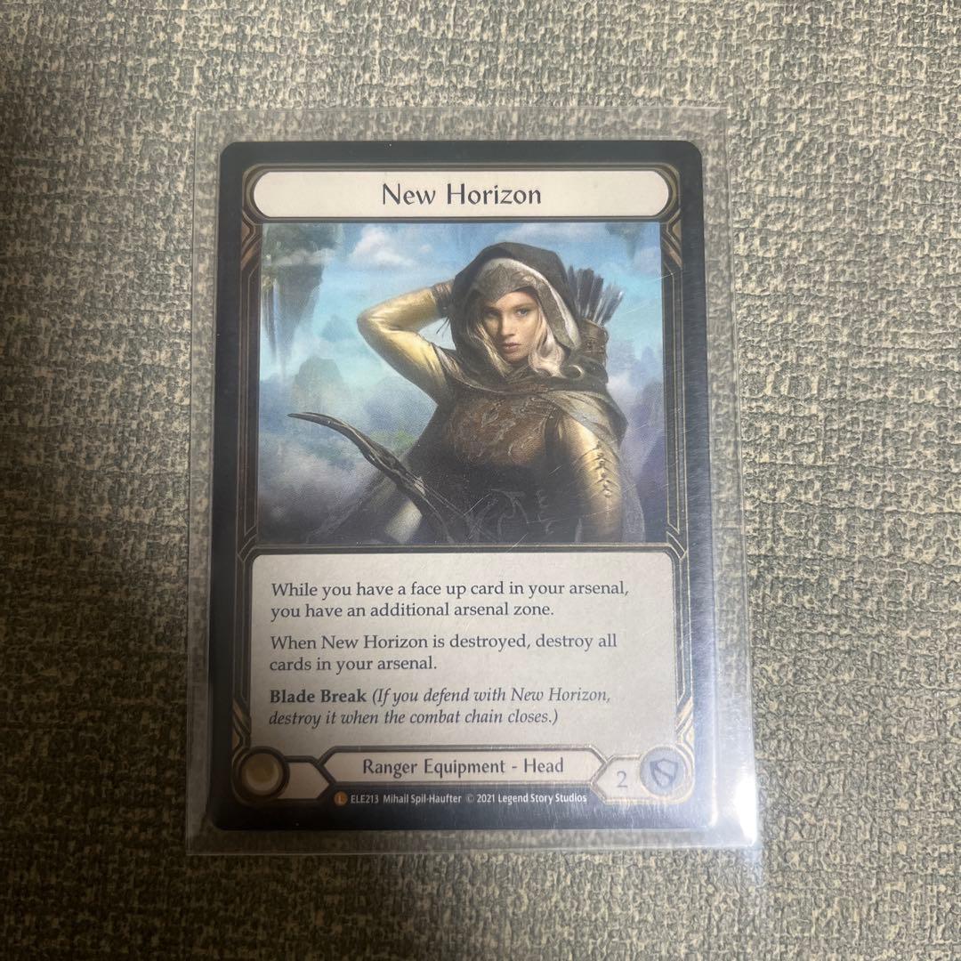 【追跡あり/匿名配送】【CF】New Horizon CT210N MSFS2024 – Carenado