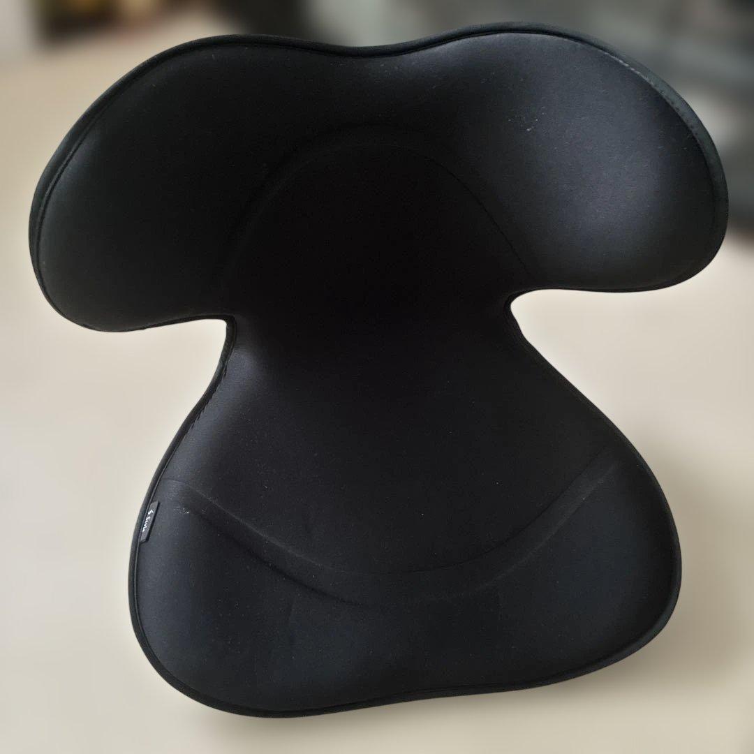 Style SMART（スタイルスマート）　黒色 楽天市場】スタイルスマート Style SMART 敬老の日 敬老の日ギフト