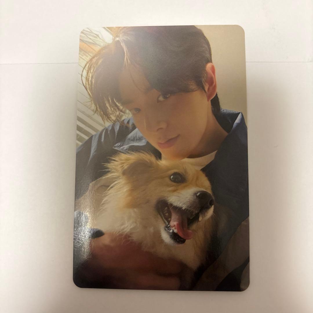 ENHYPENアンケートトレカ2025 ジェイク 2025 ENHYPEN FC アンケート トレカ 7枚 コンプリート セット - メルカリ