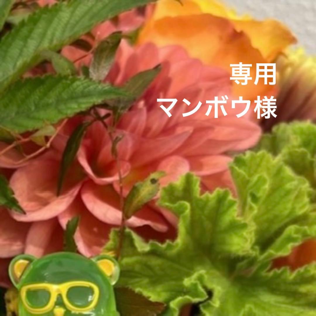 専用ページ マンボウ様 熱帯の黒き宝 】 ラオスブラック 極上 silver MP | 木軸ペン工房 金杢犀