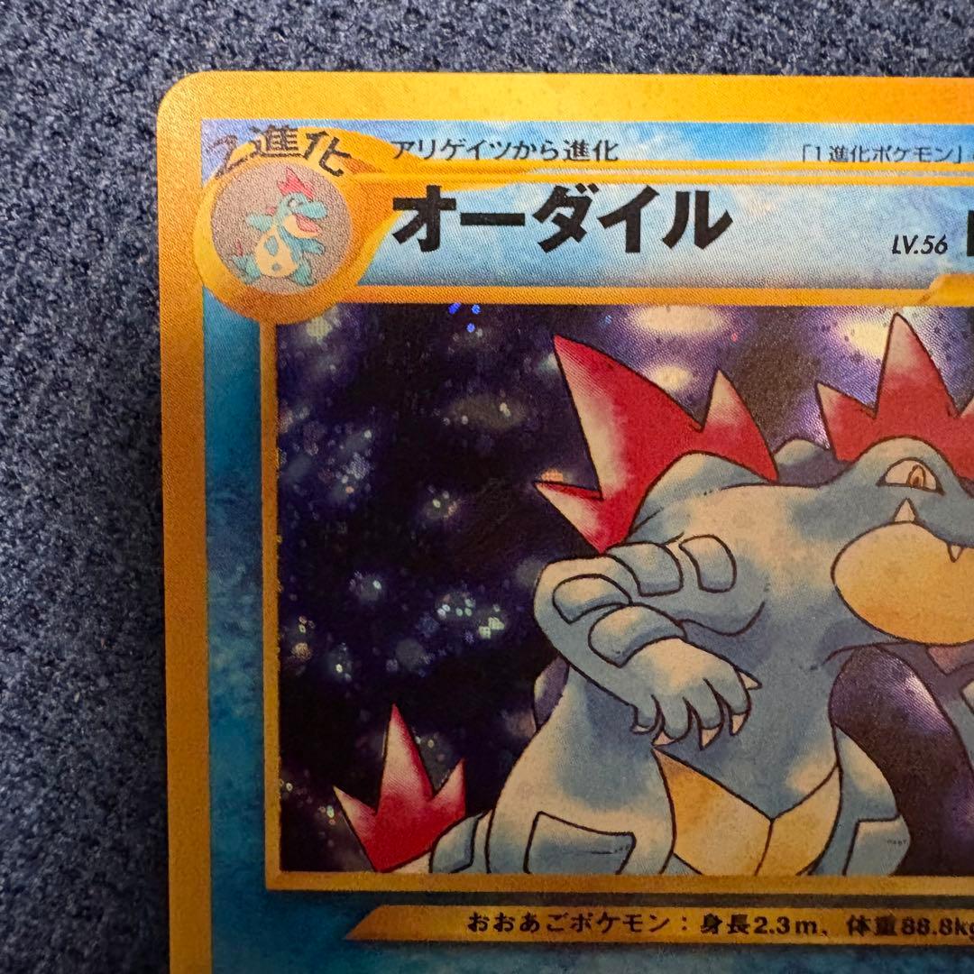 旧裏 オーダイル アリゲイツ ワニノコ ポケモンカード - メルカリ