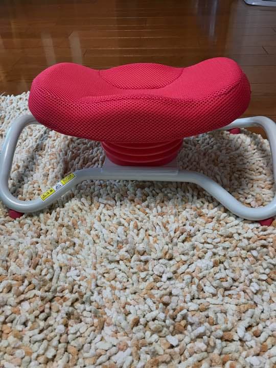 ながらウォーク  骨盤運動マシーン