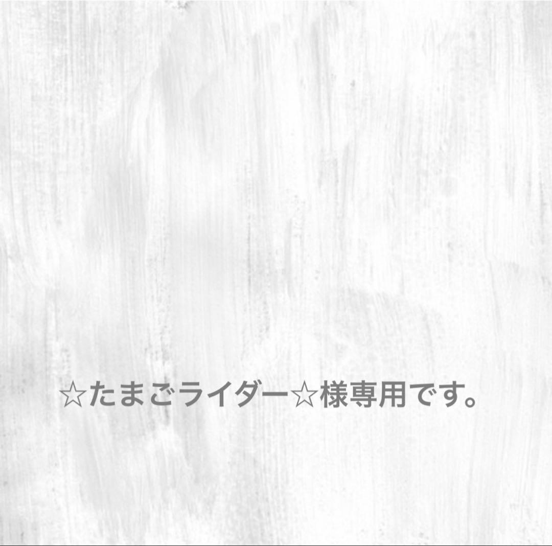 専用です。 Ninja ZX-4R (2024 - 25) – rizoma Japan