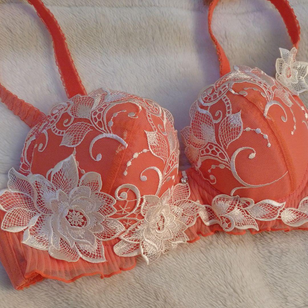 専用！　サルート ブラ アルテミス D70