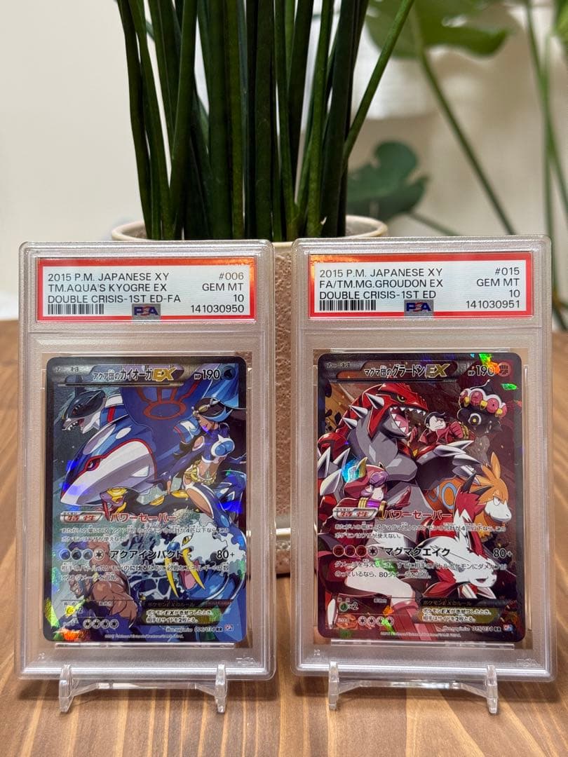 マグマ団のグラードンEX & アクア団のカイオーガEX 【PSA10 2連番】