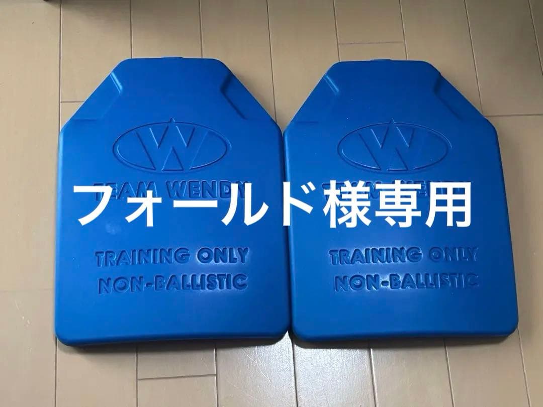 teamwendy トレーニングプレート　プレートキャリア team wendy
