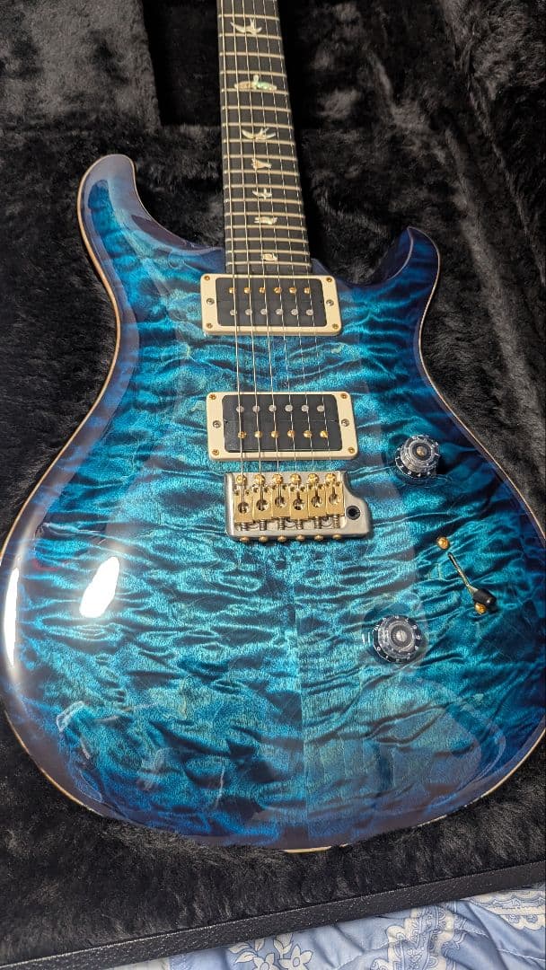 ギター paul reed smith custom24 10 top PRS Paul Reed Smith Custom 24 10-Top Guitar, Rosewood Fretboard