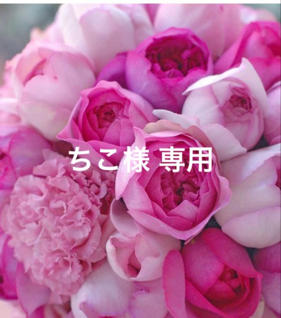 専用 サルート D75ジャズ 未使用タグ付 ワコール サルート ブラジャーD75 ショーツM 上下セット