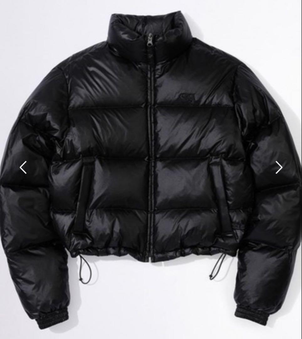 SCULPTOR ダウンジャケット