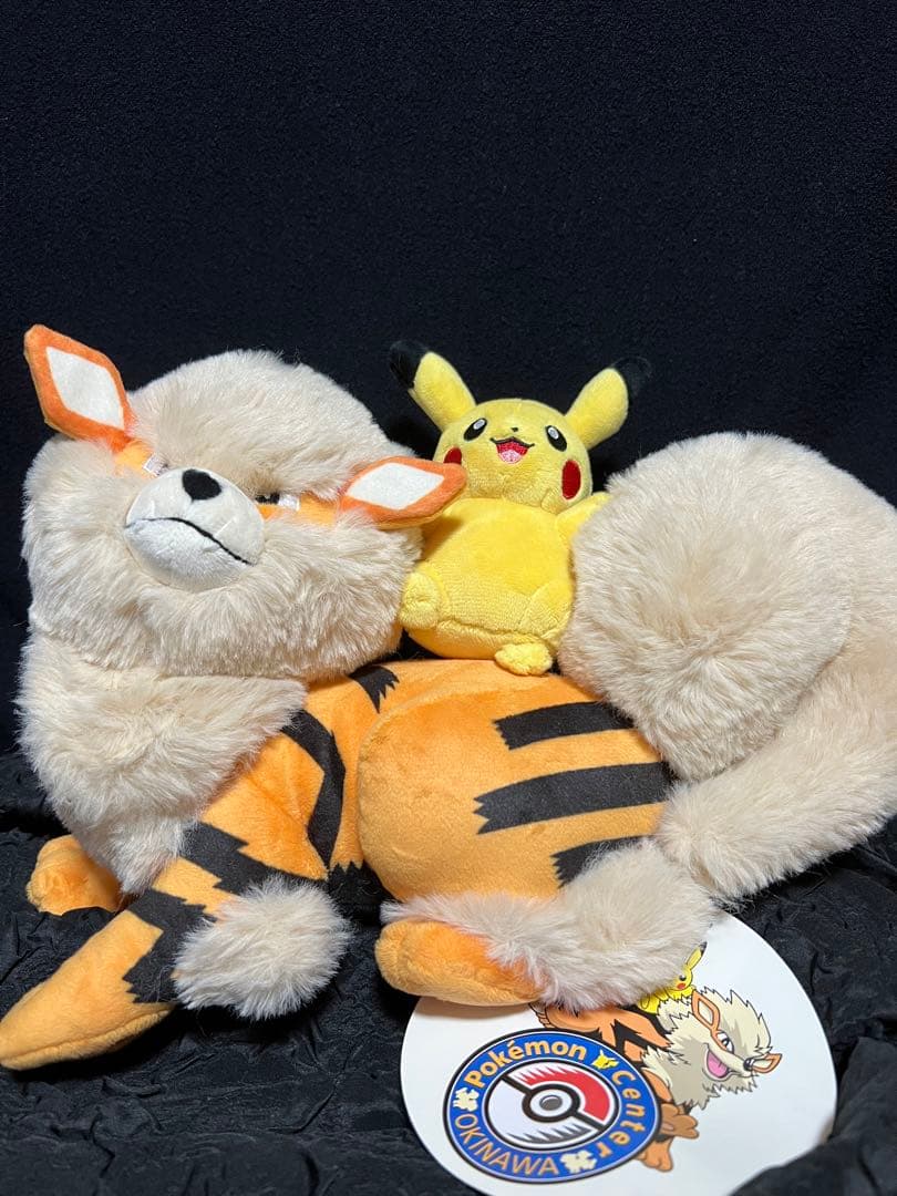 新品　ぬいぐるみ　ポケモンセンターオキナワ Yahoo!オークション - ポケモンセンターオキナワ ぬいぐるみ ［エイサ