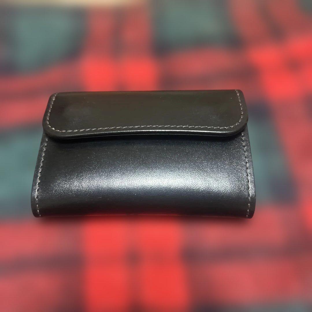 ワイルドスワンズ　ポント　サドルブラック