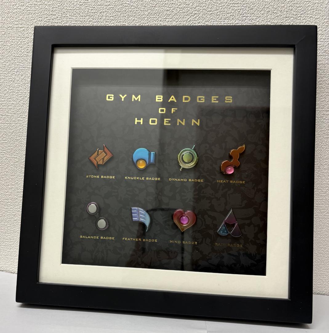 【ホウエン】 ポケモンセンター ジムバッジコレクションコンプリートセット №8