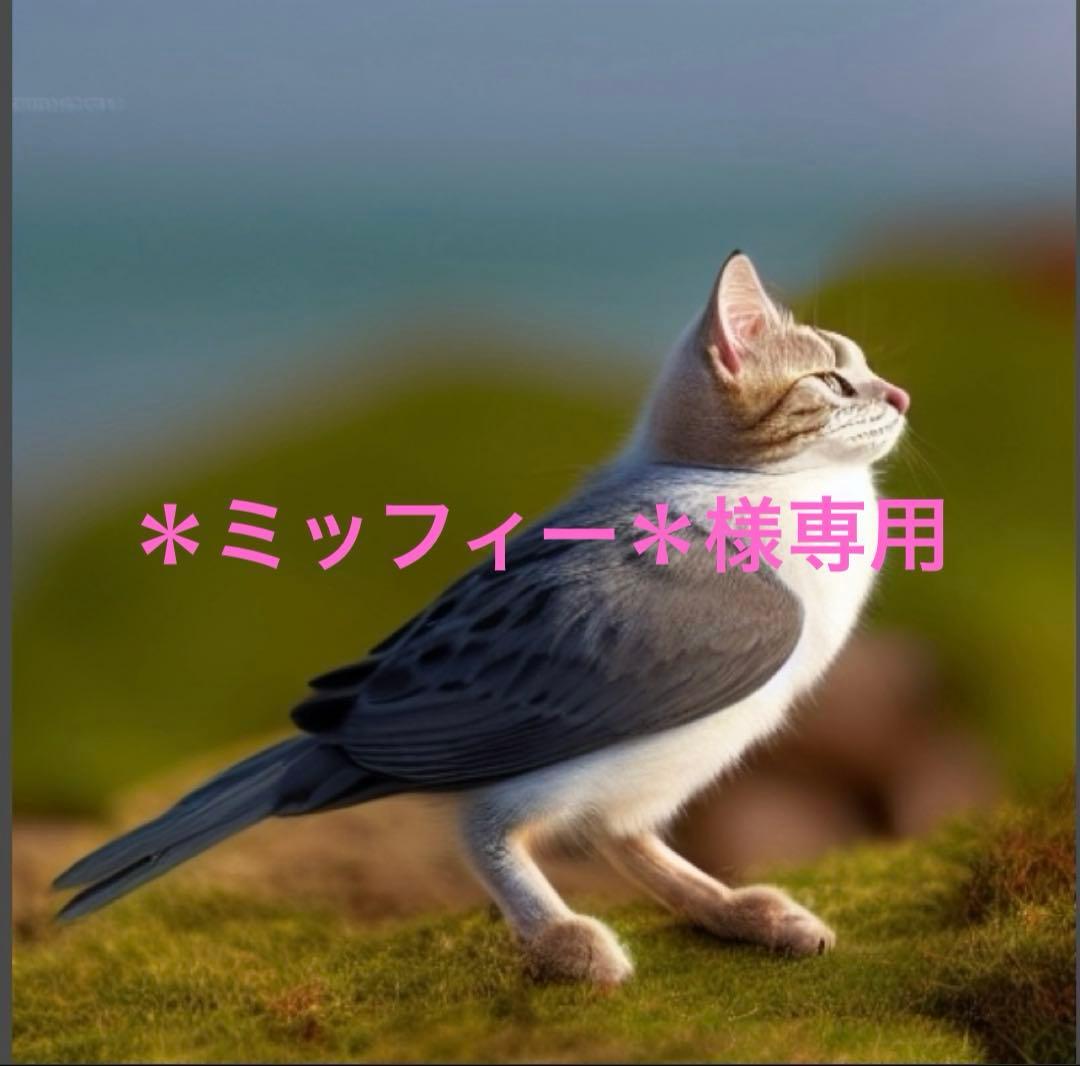 ＊ミッフィー＊さま専用　洗濯機