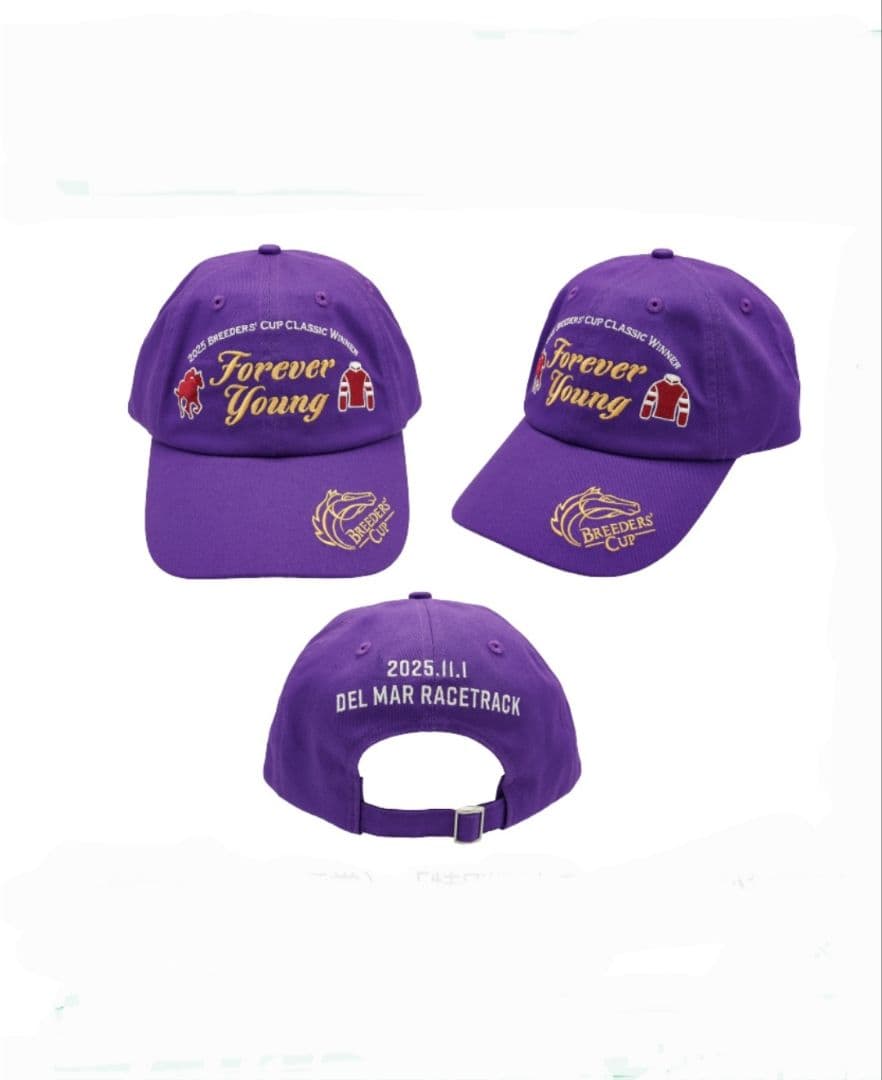 フォーエバーヤング　キャップ　welcomeチャンス　特別版 フォーエバーヤング キャップ Welcomeチャンス特別版 非売品 JRA