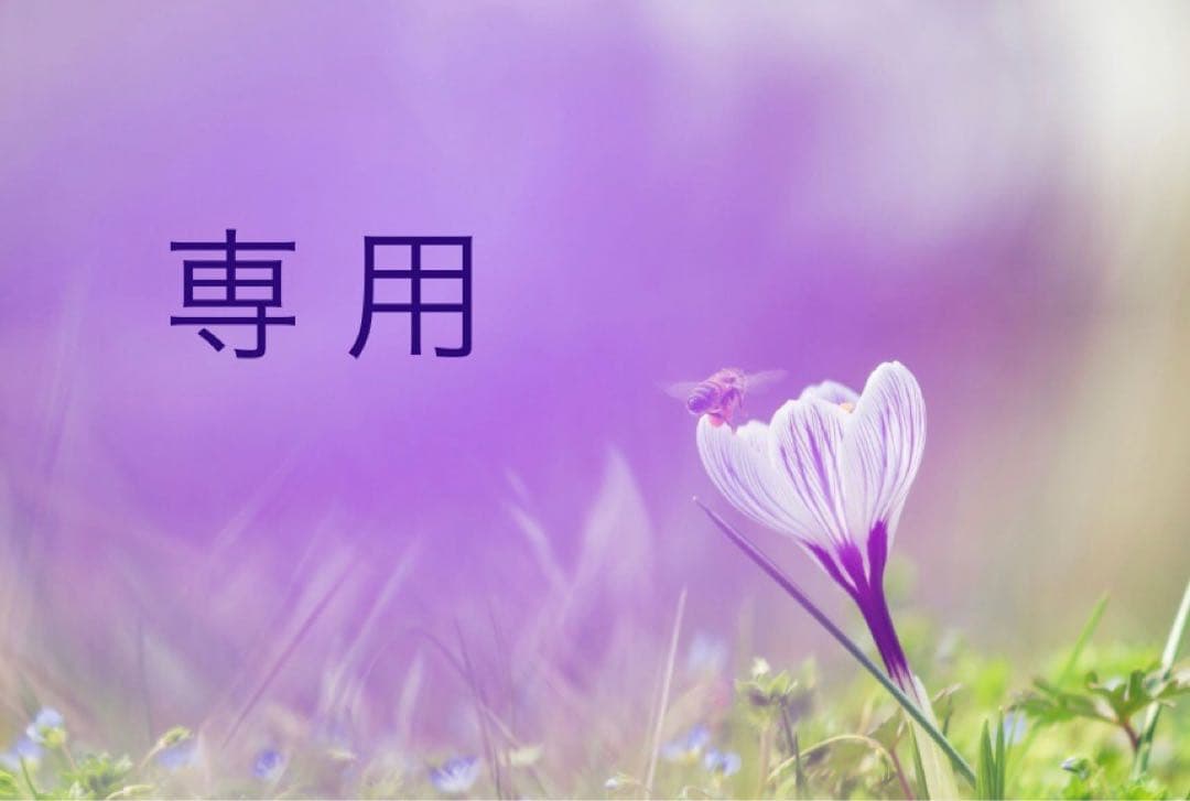 アルソア化粧品【石鹸、ローションII ２本】