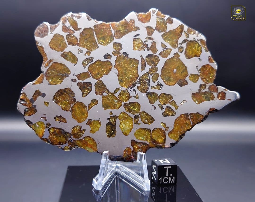 トッポー★65.59g イミラック パラサイト 隕石 Imilac⭐⭐⭐