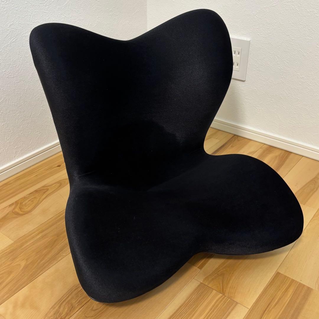 Style PREMIUM DX スタイルプレミアムデラックス ブラック