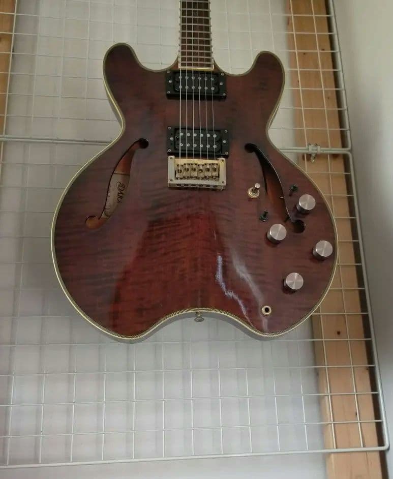 激レアDaion hh-555 Headhunter 555 ダイオン　セミアコ