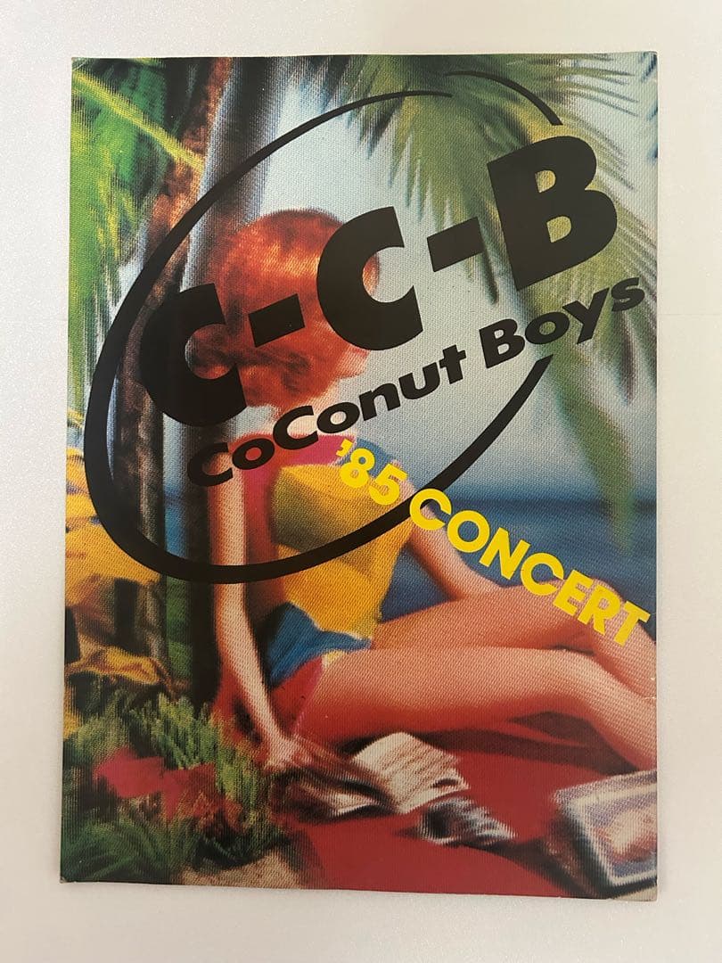 ☆激レア☆C-C-B☆コンサートツアー’85☆メンバーサイン入りパンフレット☆